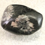 岐阜県根尾谷産 菊花石 312.5g (ID:65452)