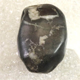 岐阜県根尾谷産 菊花石 312.5g (ID:65452)