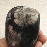 岐阜県根尾谷産 菊花石 312.5g (ID:65452)