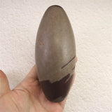 ナルマダ川産　シバリンガム　140mm　629g (ID:66673)