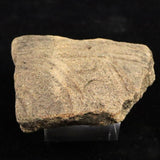 縄文土器 縄文中期 東北・北海道地域  63mm陶片  37.7g  (ID:67339)