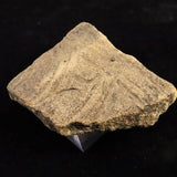 縄文土器 縄文中期 東北・北海道地域  63mm陶片  37.7g  (ID:67339)