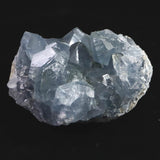 セレスタイト 天青石  原石 490.0g (ID:68472)