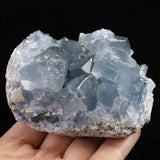 セレスタイト 天青石  原石 490.0g (ID:68472)