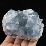 セレスタイト 天青石  原石 490.0g (ID:68472)