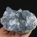 セレスタイト 天青石  原石 490.0g (ID:68472)