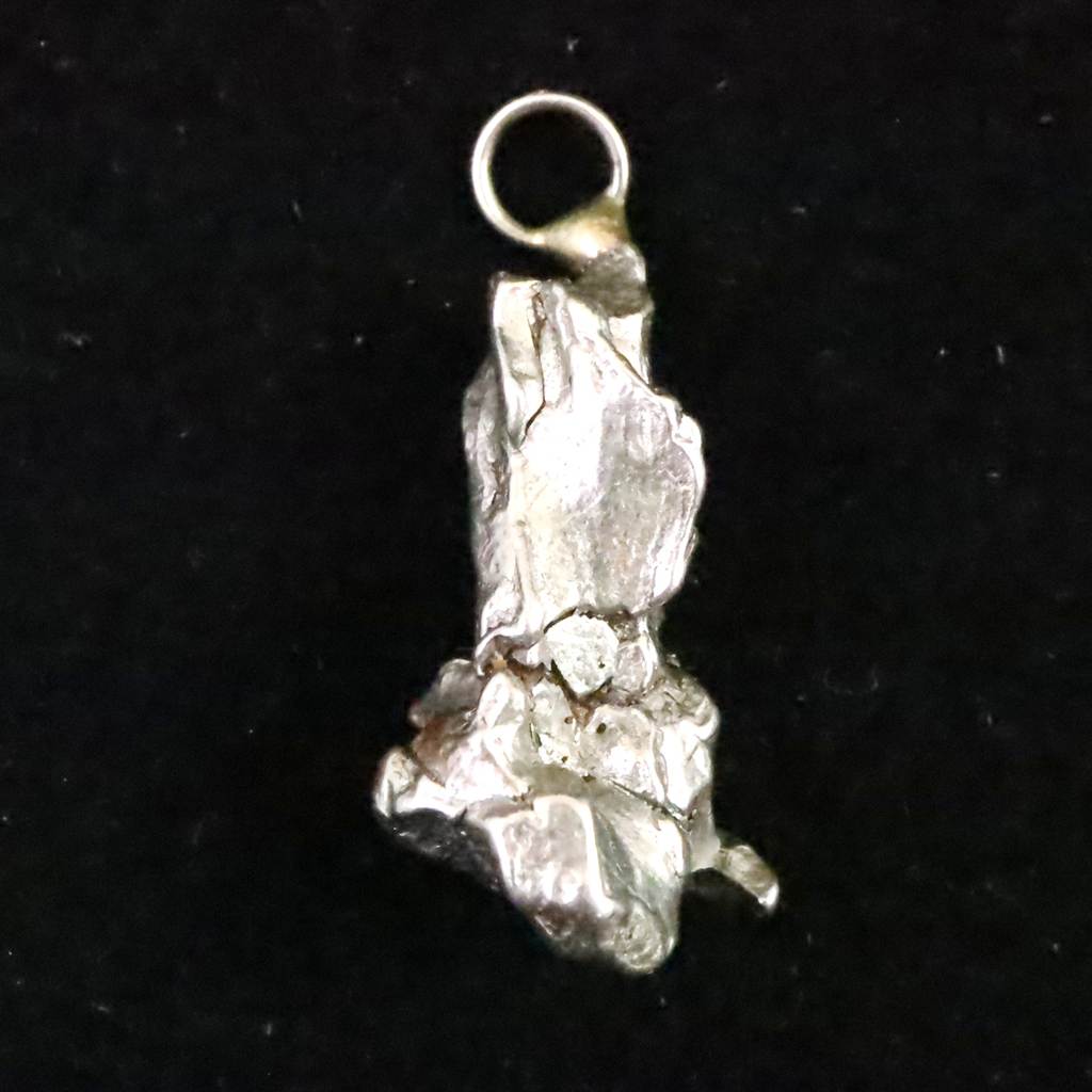 カンポ・デル・シエロ隕石 | 榎本通商