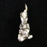 カンポ・デル・シエロ隕石 ペンダントトップ 4.4g **特価品** (ID:68512)