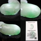 糸魚川翡翠  ヒスイ 小滝産 薄緑 31mm勾玉 ディレクトリカード付 13.11g (ID:68643)