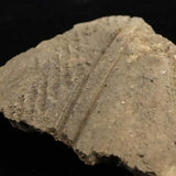 縄文土器 縄文中期 東北・北海道地域  81mm陶片  61.8g  (ID:68853)