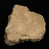 縄文土器 縄文中期 東北・北海道地域  81mm陶片  61.8g  (ID:68853)