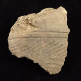 縄文土器 縄文中期 東北・北海道地域  81mm陶片  61.8g  (ID:68853)