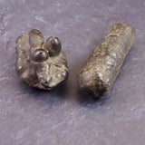 プロフェシーストーン 予言の石  原石 ペアセット 57.1g (ID:68959)