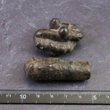 プロフェシーストーン 予言の石  原石 ペアセット 57.1g (ID:68959)