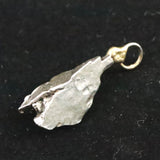 カンポ・デル・シエロ隕石 ペンダントトップ 3.8g (ID:69284)