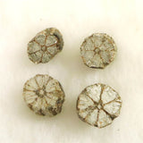 京都府亀岡市産　小紋桜石 4個セット 現品 1.52g (ID:69321)