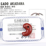 佐渡　赤玉石　23mm勾玉　証明書付 6.52ｇ (ID:69691)