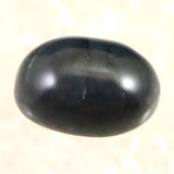 神居古潭石 （カムイ・コタン） 14X10mm オーバル ルース 1.5g (ID:69795)