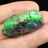 アンモライト アンモナイト化石　スライス　原石　4.4ｇ (ID:69928)