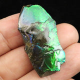 アンモライト アンモナイト化石　スライス　原石　4.4ｇ (ID:69928)