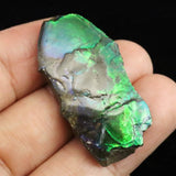 アンモライト アンモナイト化石　スライス　原石　4.4ｇ (ID:69928)