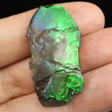 アンモライト アンモナイト化石　スライス　原石　4.4ｇ (ID:69928)