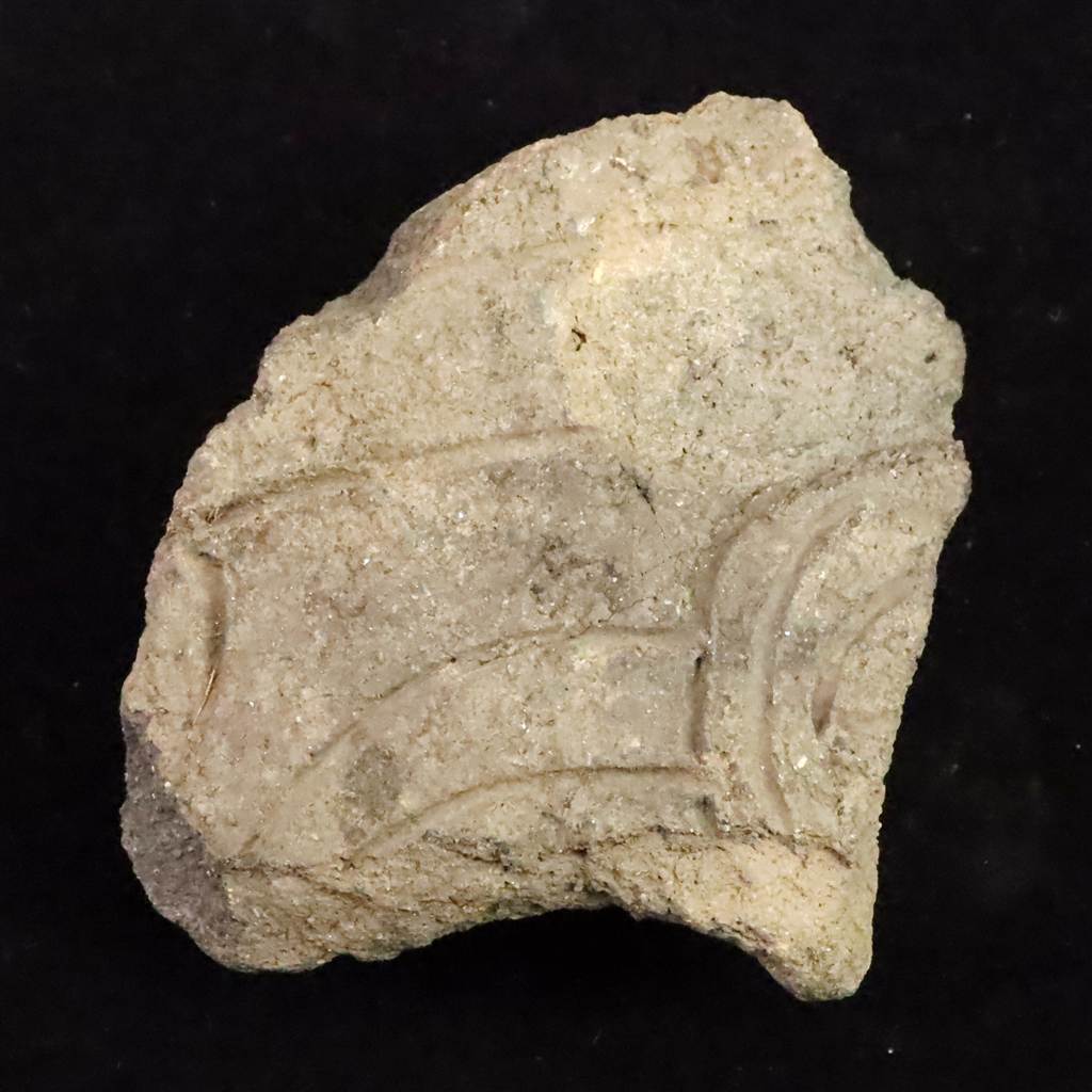 新着商品 | 榎本通商