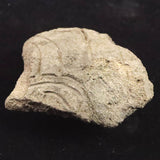 縄文土器 縄文中期 東北・北海道地域  67mm陶片  28.9g  (ID:70167)