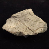 縄文土器 縄文中期 東北・北海道地域  67mm陶片  28.9g  (ID:70167)