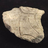 縄文土器 縄文中期 東北・北海道地域  67mm陶片  28.9g  (ID:70167)