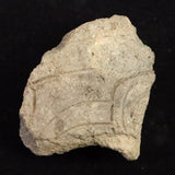 縄文土器 縄文中期 東北・北海道地域  67mm陶片  28.9g  (ID:70167)