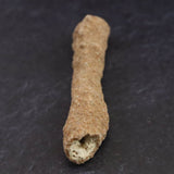 H&E社　サハラ砂漠産　フルグライト　　4.6g (ID:70727)