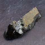 隠岐の島 黒曜石 原石  ディレクトリーカード付 61.2g (ID:70877)