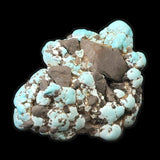 米国ローンマウンテン鉱山産 ターコイズ トルコ石 42mm原石 15.6g (ID:71324)