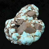 米国ローンマウンテン鉱山産 ターコイズ トルコ石 42mm原石 15.6g (ID:71324)