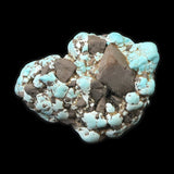 米国ローンマウンテン鉱山産 ターコイズ トルコ石 42mm原石 15.6g (ID:71324)
