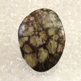 岐阜県根尾谷産 菊花石 37.8g (ID:71822)