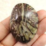 岐阜県根尾谷産 菊花石 37.8g (ID:71822)