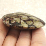 岐阜県根尾谷産 菊花石 37.8g (ID:71822)