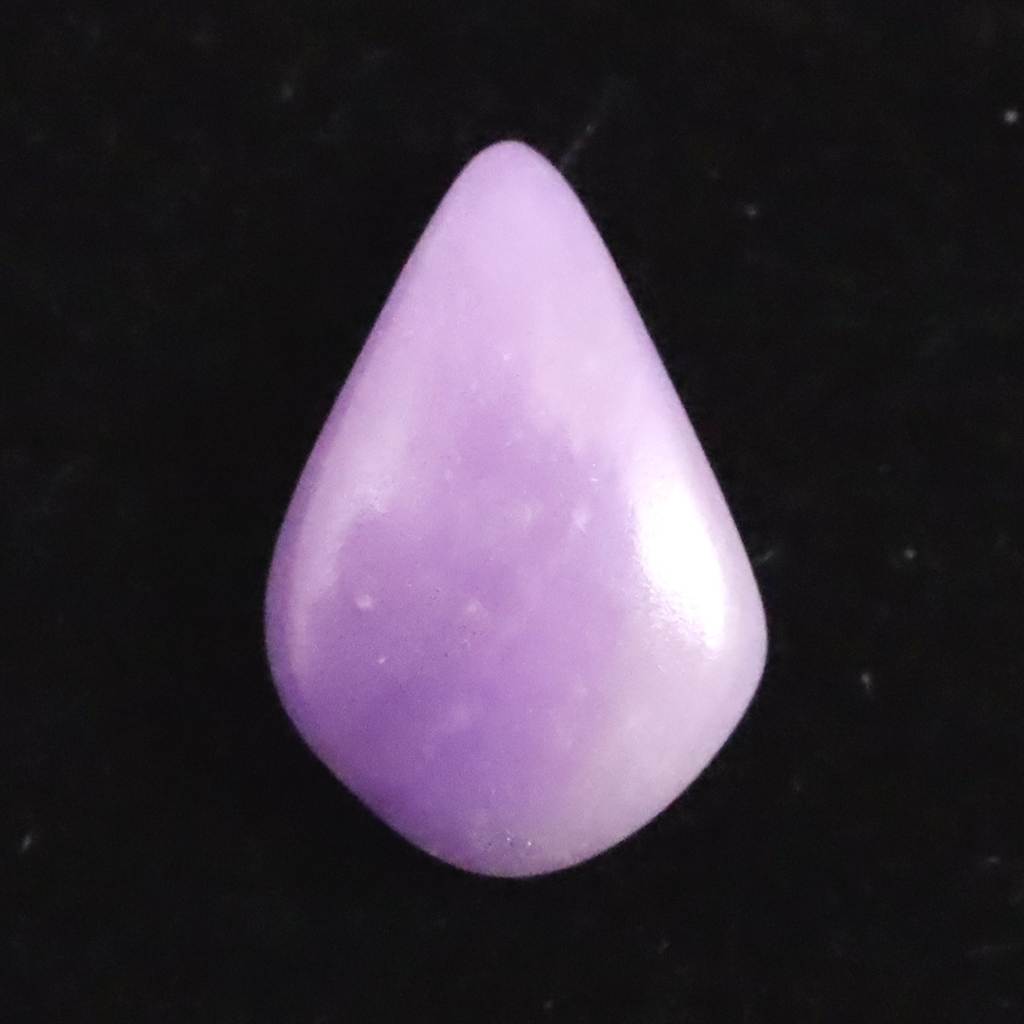 スギライト特集 | 榎本通商