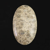 ペトリファイドウッド 珪化木  61mm オーバル カボションルース 24.3g  (ID:73026)