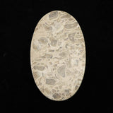 ペトリファイドウッド 珪化木  61mm オーバル カボションルース 24.3g  (ID:73026)