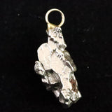 カンポ・デル・シエロ隕石 ペンダントトップ 4.9g **特価品** (ID:73085)