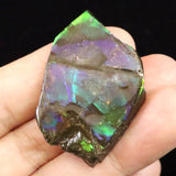 アンモライト アンモナイト化石　スライス　原石　11.0ｇ (ID:73637)