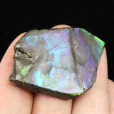 アンモライト アンモナイト化石　スライス　原石　11.0ｇ (ID:73637)