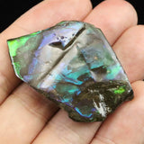 アンモライト アンモナイト化石　スライス　原石　11.0ｇ (ID:73637)