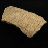 縄文土器 縄文中期 東北・北海道地域  135mm陶片  136.2g  (ID:74602)