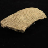 縄文土器 縄文中期 東北・北海道地域  135mm陶片  136.2g  (ID:74602)