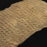 縄文土器 縄文中期 東北・北海道地域  135mm陶片  136.2g  (ID:74602)