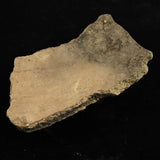 縄文土器 縄文中期 東北・北海道地域  135mm陶片  136.2g  (ID:74602)